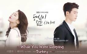Is everybody in this movie going to be cuddly and sort of dumb? While You Were Sleeping Turkey Home Facebook