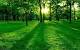 Full Screen Desktop Background Wallpaper Hddownload