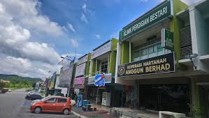 Umum (awam) umum (kkm) pengurusan kesihatan & kawalan penyakit; Klinik Pergigian Bestari Dental Clinic In Bandar Puncak Alam