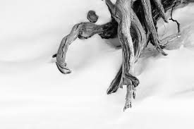 Michael Rung Photography added...