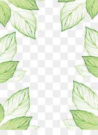 Leaves Png Leaves Transparent Clipart Free Download Eucalyptus Polyanthemos Royalty Free Watercolor Painting Illustration Fotokollazh Risunki Cvetochnye Fony
