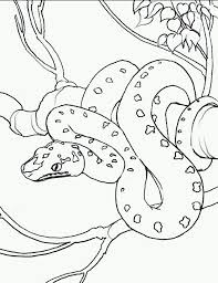 Snake Coloring Pages 4 Snake Coloring Pages Animal Coloring Pages Horse Coloring Pages