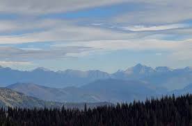 GIVING CAMPAIGN RESULTS