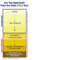 urine colour and dehydration wrights water filtration