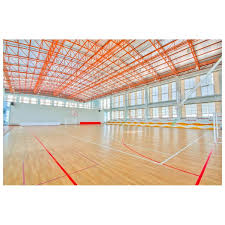 Horoscop zilnic 18 iulie pești. Parchet Sala Sport