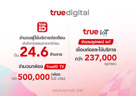 The abbott logo screen will appear in black for a few seconds and then will appear in gray to ensure that the display is functioning properly. True Group Reports Net Profit Of Baht 5 6 Billion In 2019 As Truemove H Ryt9