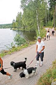 Jump to navigation jump to search. Drillo Min Siste Trenerjobb