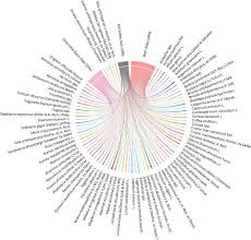 Image result for Diplolophium africanum