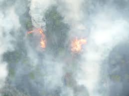 Containment was still at zero percent. Wildfire Burns 425 Acres In Northern Michigan As Firefighters Continue Battle Mlive Com
