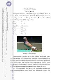 Dibawah ini yaitu beberapa mewarnai gambar merpati yang dapat anda simpan atau cetak untuk menjadi bahan mewarnai si kecil ataupun murid disekolah. Tinjauan Pustaka Gambar 1 Burung Merpati