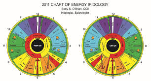 41 rigorous iris diagnosis chart