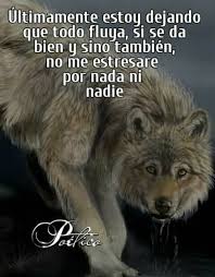 Sign In Frases De Lobos Diario De Un Lobo Frases