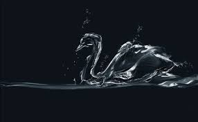 Spray Free Stock Photos Download 189 Free Stock Photos For Commercial Use Format Hd High Resolution Jpg Images