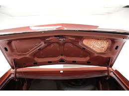Image result for Calcutta Russet 1968 Javelin