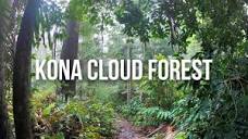 Kona Cloud Forest Sanctuary Hike & Nature Trail - YouTube