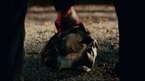 A new trailer for david gordon green's halloween kills is now screenings in theaters, and the full thing has been leaked online. Watch Michael Myers Don The Mask In New Teaser For Halloween Kills