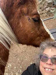 Assembly of God church hall repair fundraiser postponed