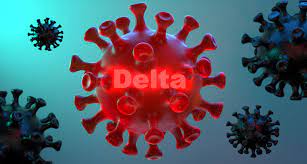 On wednesday, the world health organization said the variant had been. Rki Delta Variante Im Aufwind