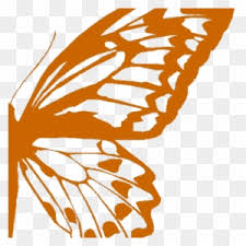 Free Free Half Butterfly Svg 91 SVG PNG EPS DXF File