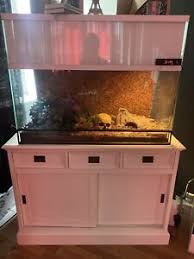 Er besteht aus 3 einzelnen terrarien, welche beliebig verstellt werden können. Terrarium Schrank In Nordrhein Westfalen Ebay Kleinanzeigen