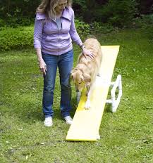 Agility Parcour Diy Hundeparcour Selber Bauen Wippe Erstellen Holzplatte Hundesportart Training Dog Game Agility Hund Hundeschule Dog Agility