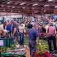 The Garden Show