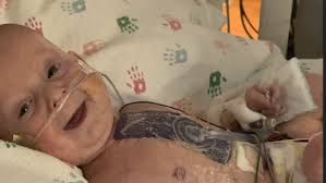 Fundraiser for Hilary Gilman by Amy Fitzgerald : #CruesCrew