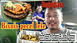 Sebab banyak bantuan modal usaha dalam bentuk pinjaman tanpa jaminan maupun dana hibah gratis. Peluang Bisnis Modal 250k Omset 5 Juta Minggu Bisnis Pecel Lele Menjanjikan Youtube