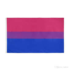 There's definitely something about the green and gray that i like together, and i feel that it represents the community well. Bisexual Pride Symbol Flag 3x5ft With Grommets Lgbtqia Bi Pride Yard Garden Outdoor Living Home Garden