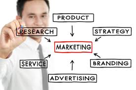 Marketing Manager Business Centric Network Bcn Chief operating officer chief financial officer chief information officer chief technology officer we provide millions of free to download high definition png images. business centric network