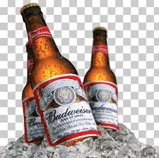 Budweiser Beer Anheuser Busch Inbev Distilled Beverage Png Clipart Alcohol Alcoholic Beverage Alcoholic Drink Anheu Budweiser Beer Distilled Beverage Beer