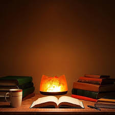 Himalayan Salt Lamp Night Light Salt Lamp Himalayan Salt Lamp Lamp