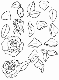 coloriage roses les beaux dessins de nature a imprimer et colorier 33 tortue heureuse