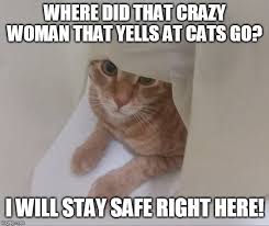 Sneaky Cat Memes Gifs Imgflip