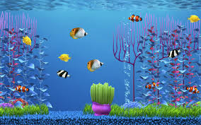 Free Download Aquarium Screensaver Lite On The Mac App Store 800x500 For Your Desktop Mobile Tablet Explore 50 Free Fish Tank Wallpaper Screensavers Free Fish Tank Wallpaper Screensavers Free