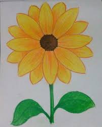 What You Know About Flower Drawing For Class 133 And What You Dont Know About Flower Drawing For Class 1 Art Drawings For Kids Flower Drawing Kids Art Projects