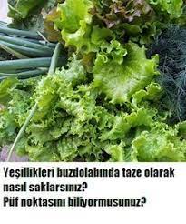 yesillikler buzdolabinda nasil saklanir aldiginiz yesilliklerin ilk gunku tazeligini korumasi icin bu pratik yolu deneyin herbs food and drink cooking tips