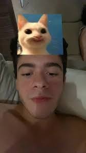 Im Just A Cat Simon and The Astronauts Traduccion