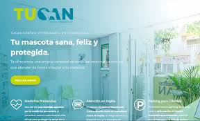 A word or phrase that is commonly used in conversational speech (e.g. Descubre Nuestra Nueva Web Tucan Centro Veterinario En Fuengirola