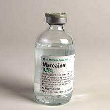 Discover the new marc cain collections. Marcaine Bupivacaine Hcl 0 5 5mg Ml Mdv 50ml Vial Mcguff Medical Products