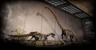 Dinosaur Fossil Hunter Review | Techraptor