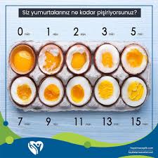 Yumurtanin Sarisinin Etrafi Fazla Pismekten Grilesmis Yesillenmis Ise Omega 3 Yagi Trans Yaga Donusmus Demektir Bu Haslanmis Yumurta Saglikli Yemek Ascilik