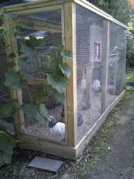 here is a chicken coop complete with an enclosed run its the perfect project if you want to make chickens backyard backyard chicken coops chicken coop decor