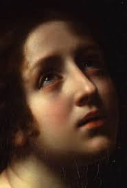 Nelson Braga (nelson_braga)