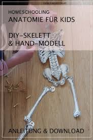 anatomie fur kinder wir basteln ein skelett und eine bewegliche hand die kleine botin korper vorschule skelett erzieherausbildung