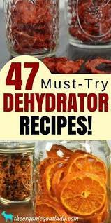 47 Food Dehydrator Recipes The Organic Goat Lady Dehydrator Recipes Recipes Canning Recipes