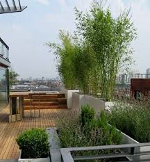 Bamboo Plants Roof Terrace Screening Gardening Bambus Roofing Garden Plants Safety Dachterrasse Sichtschutz Bambus Pflanzen Balkon Sichtschutz Bambus