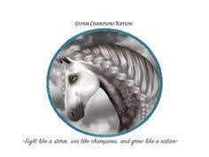 Maybe you would like to learn more about one of these? 40 Storm Champions Nation Sso Ideas In 2021 Dressage Star Stable Storm