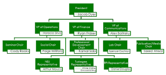 Curent Slc Organization