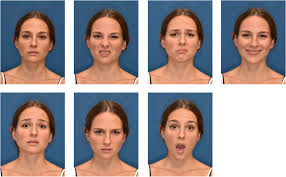 Image result for Elfenbein 1995 Fleet